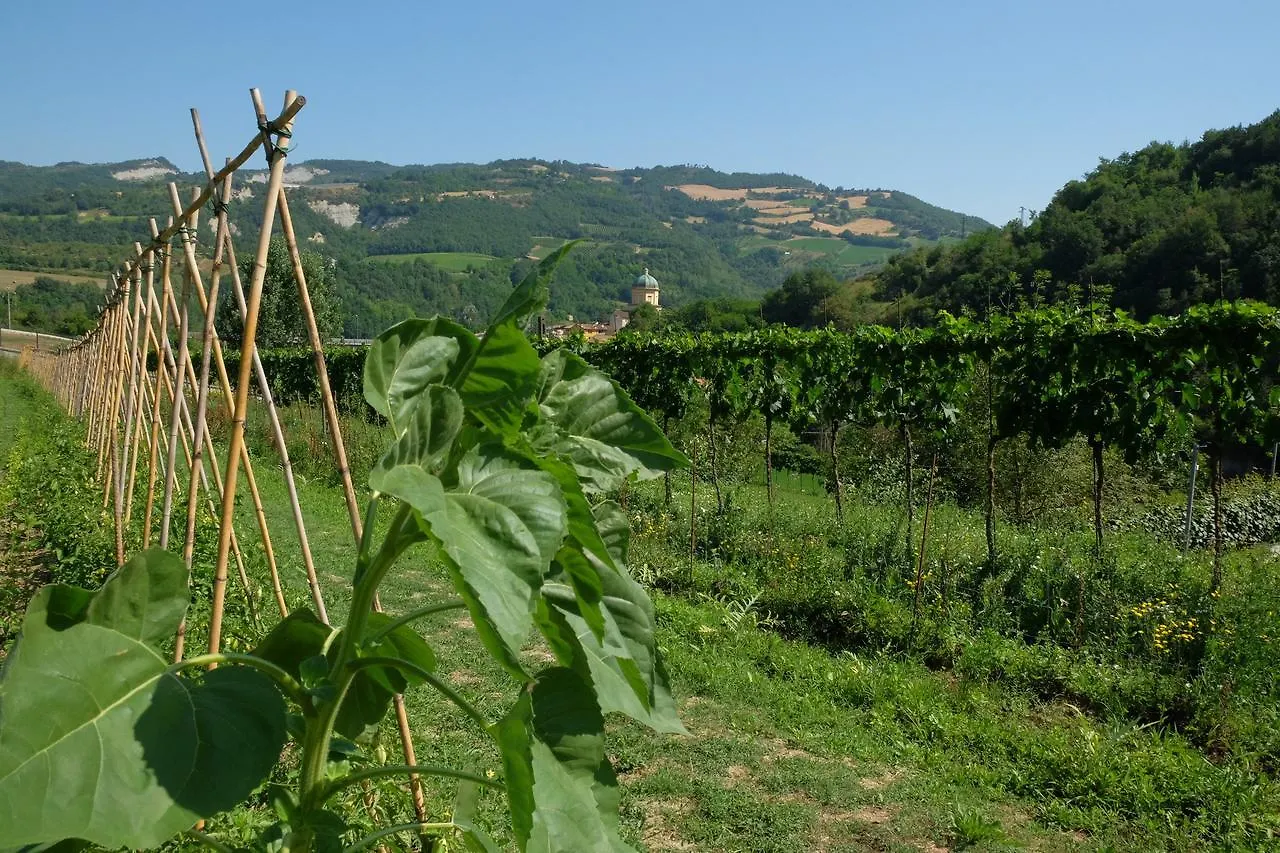 Agroturismo Agriturismo Campo Rosso Civitella di Romagna