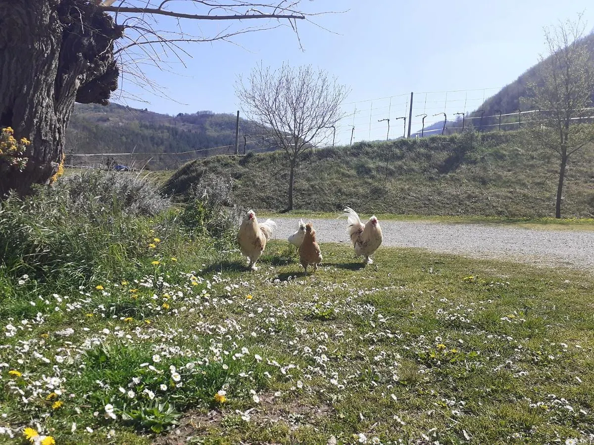 Agriturismo Campo Rosso Civitella di Romagna