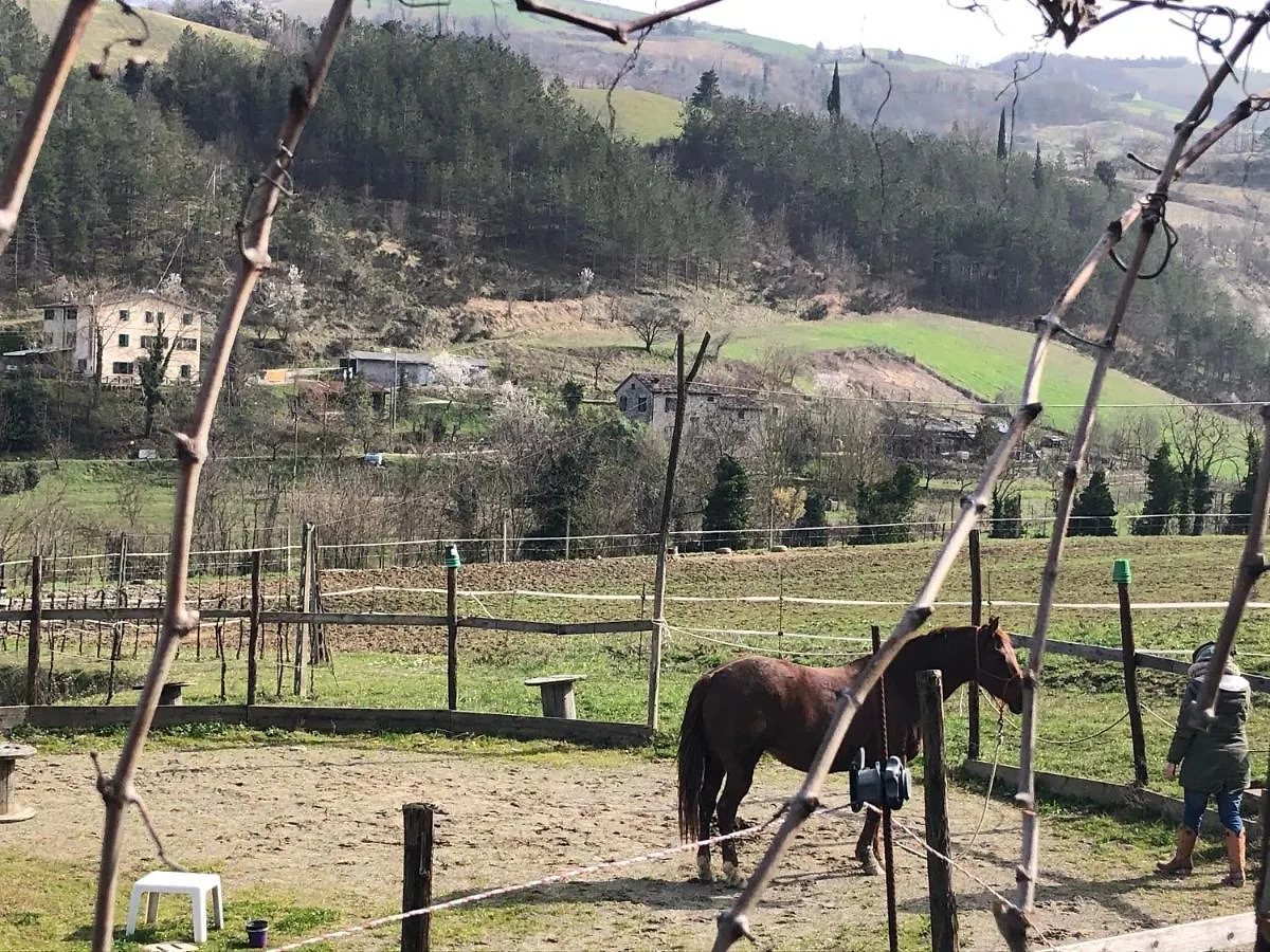 Farm stay Agriturismo Campo Rosso Civitella di Romagna